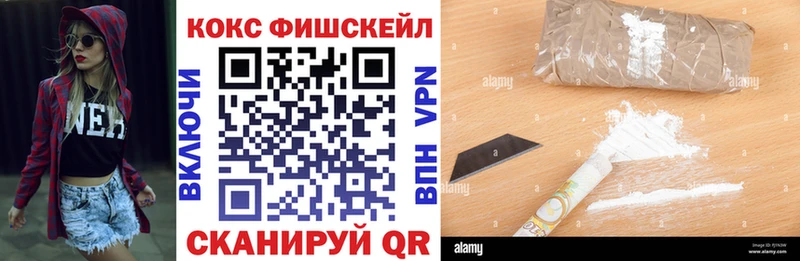 где найти наркотики  Южа  COCAIN Fish Scale 