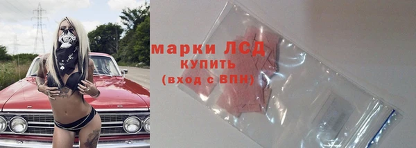 трава Няндома