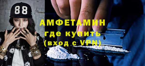 трава Няндома