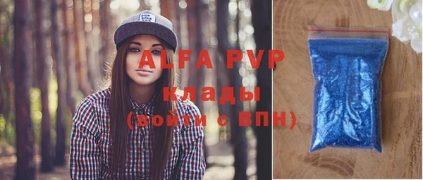 трава Няндома